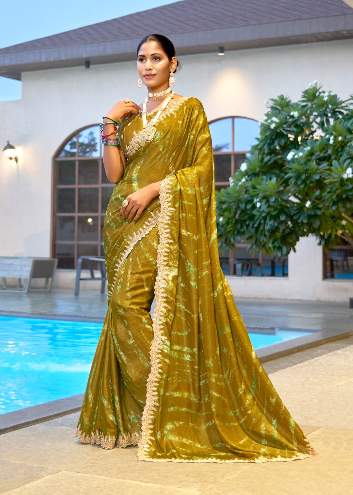 Premium Embroidered Velvet Chiffon Saree with Designer Blouse