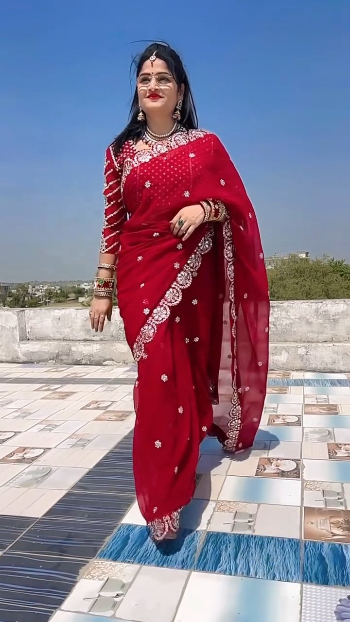Original Mirror Work Heavy Coading Lace Border in Saree
