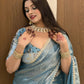 Fendy Silk Saree with Stone Lace Border & Embroidered Chinnon Blouse