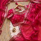 zimmy choo silk saree with amazing embroidery  sequence work and multi borders with aarco..
