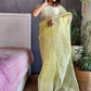 Shimmer Organza Saree with White Thread Border and Plain Blouse