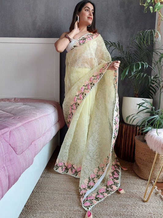Satin Organza Saree with Resham Embroidery and Plain Blouse