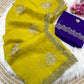 Elegant Soft Carnchy Chiffon Saree