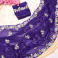 Elegant Fandy Satin Saree with Sequence Brits Work