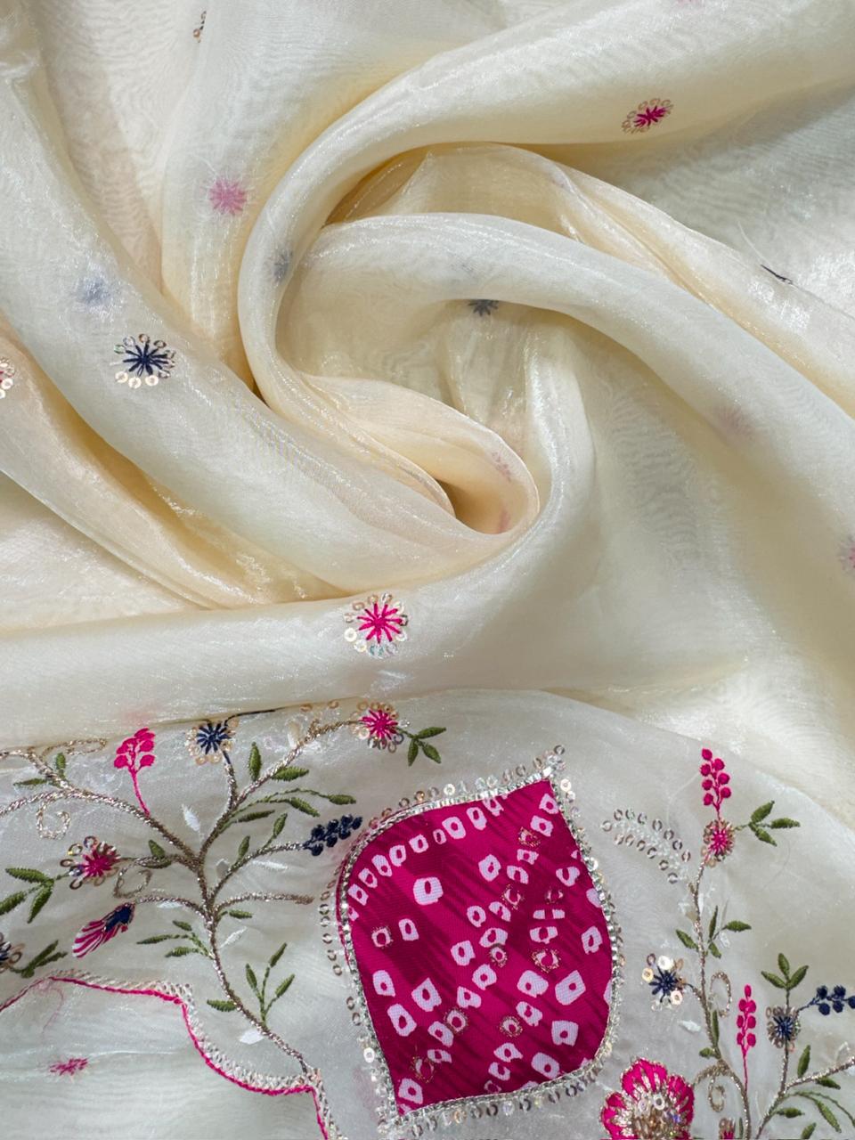 Pastel Perfection Crystal Tissue Saree with Zari Embroidery & Hand Applique Work
