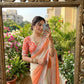 Royal Noor Embroidered Star Georgette Couture Saree